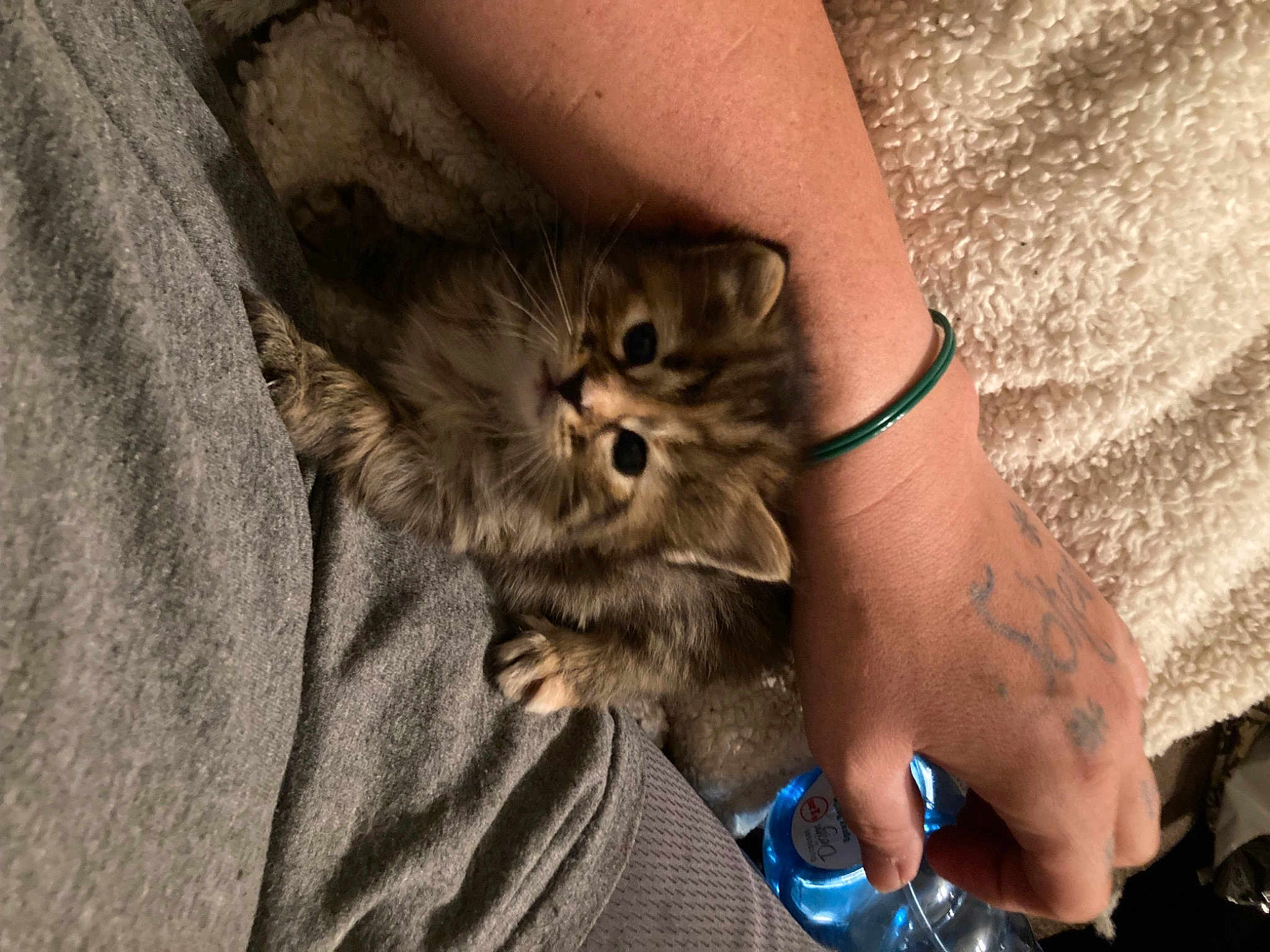 Lil Sammie