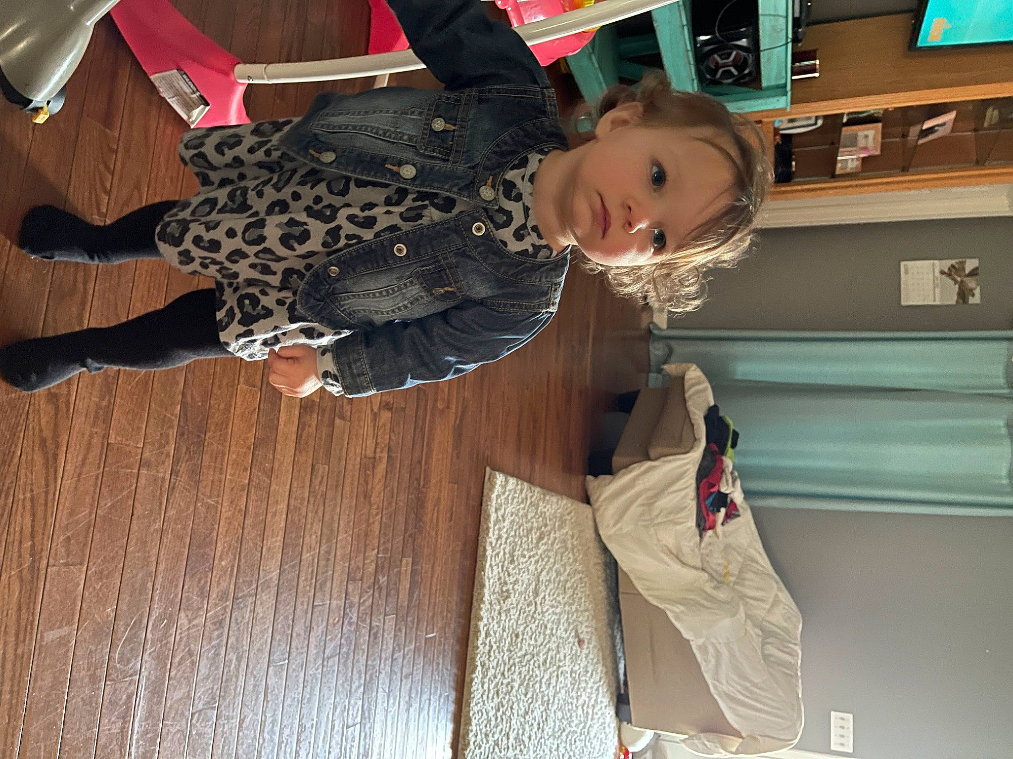 Jayde joined the competition — help win amazing prizes! bookcase, cabinetry, child, flooring, fun, hardwood, home_appliance, houseplant, led_backlit_lcd_display, microwave_oven, person, picture_frame, room, shelf, shelving, smile, television, toddler, wood, wood_stain