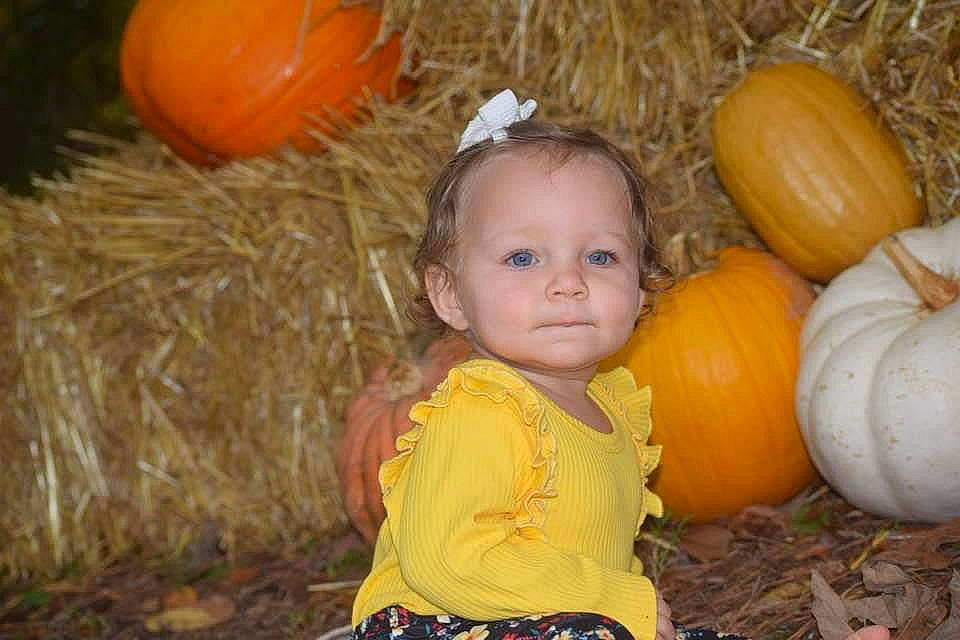 Jayde is registered to the contest to win money with this photo: baby_toddler_clothing, calabaza, child, cucurbita, eye, facial_expression, fun, gourd, happy, natural_foods, orange, people_in_nature, person, plant, pumpkin, squash, toddler, vegetable, winter_squash, wood