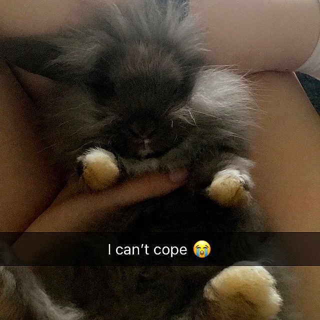 Fluff