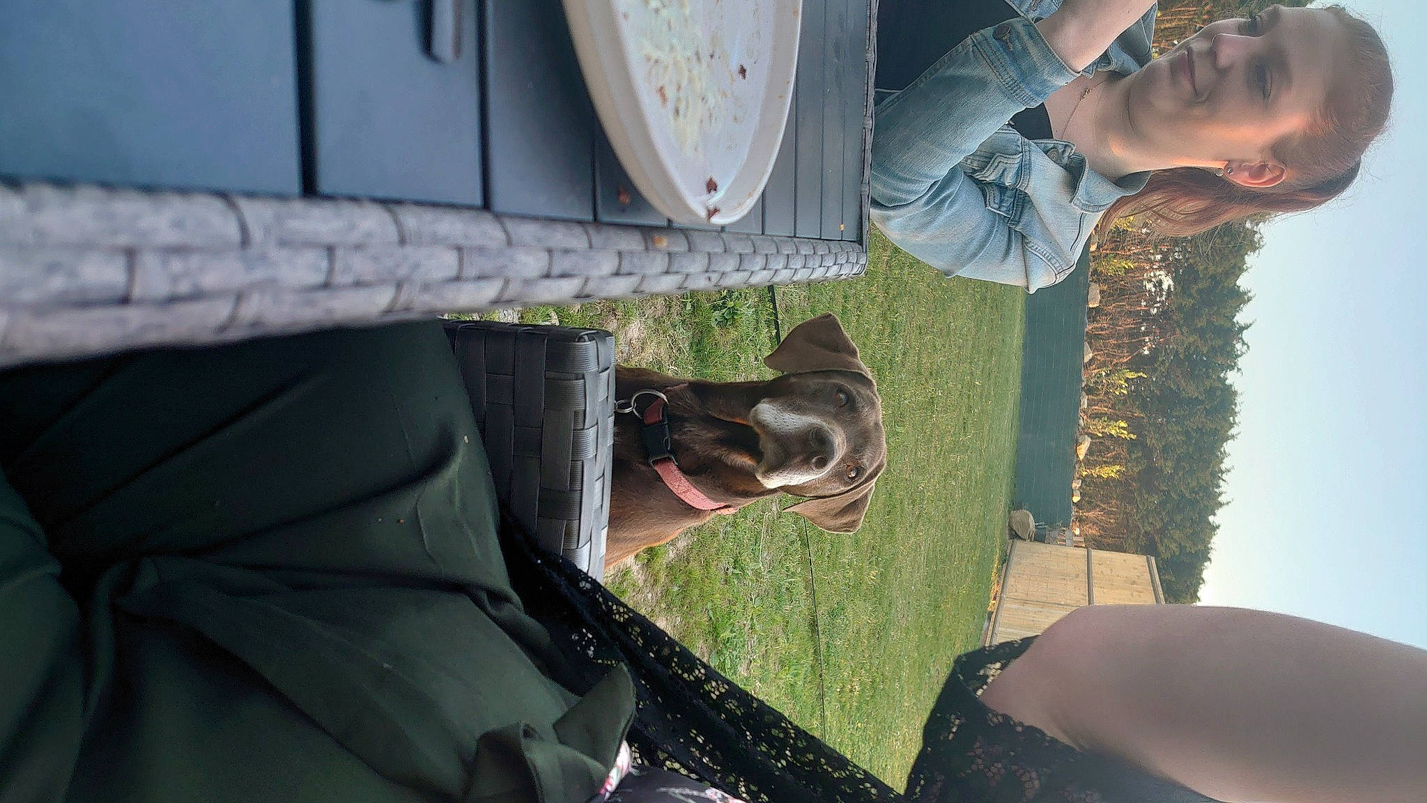 Eben a rejoint le concours — aidez-le/la à gagner de superbes lots ! auto_part, automotive_exterior, automotive_lighting, automotive_mirror, automotive_tire, car, carnivore, dog, fender, gesture, grass, hood, motor_vehicle, plant, sky, tire, vehicle, vehicle_door, window, windshield