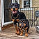 Capone
