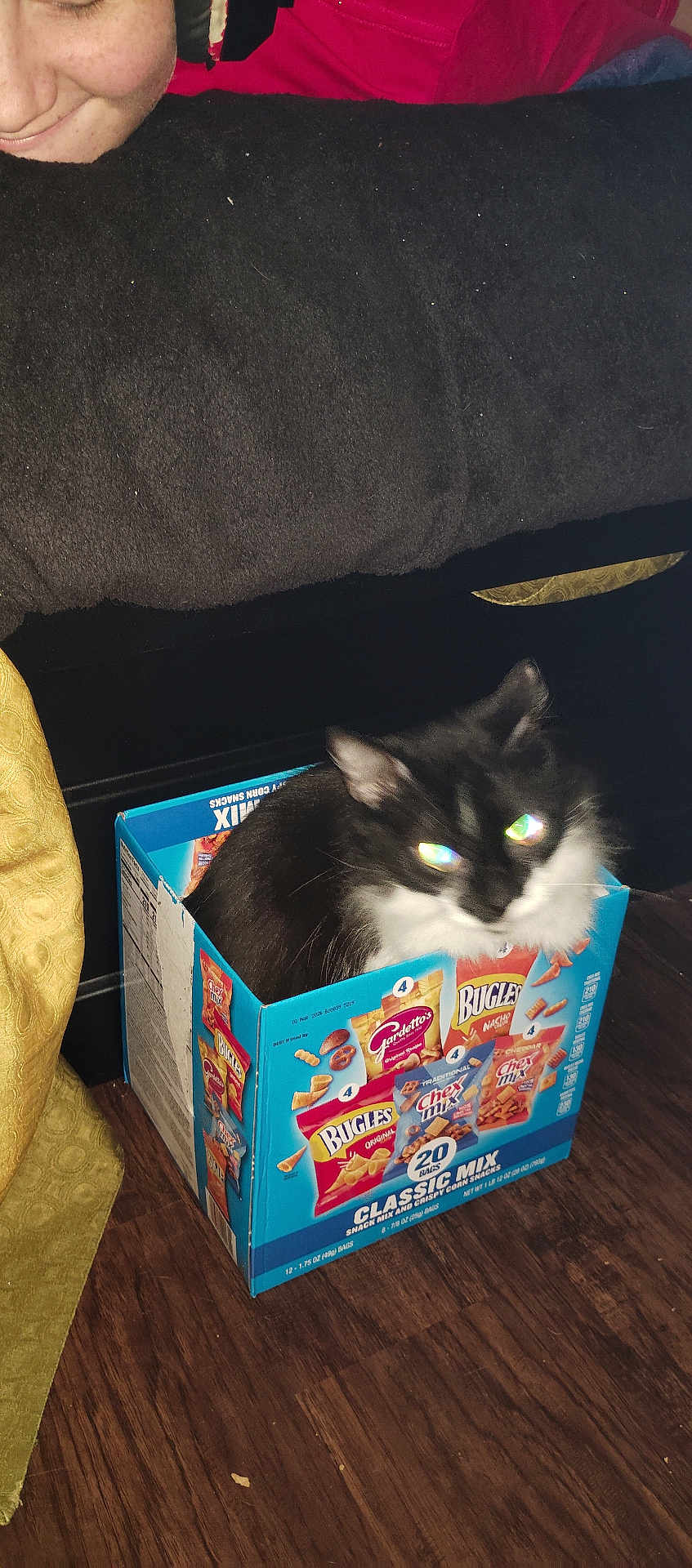 Scar Scar is registered to the contest to win money with this photo: black_and_white_cat, box, cat, container, cute, domestic_animal, feline, flash, food_packaging, happy, indoor, living_room, person, pet, playful, reflection, smile, snack_box, snacks, wooden_floor