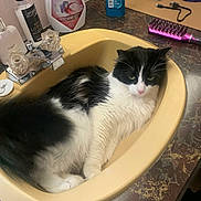 Häagen-Dazs is registered to the contest to win money with this photo: bathroom, black_and_white, cat, countertop, domestic_animal, feline, fluffy, fur, hairbrush, household, indoor, marble_pattern, pet, relaxed, resting, sink, toiletries, unimpressed, white, yellow