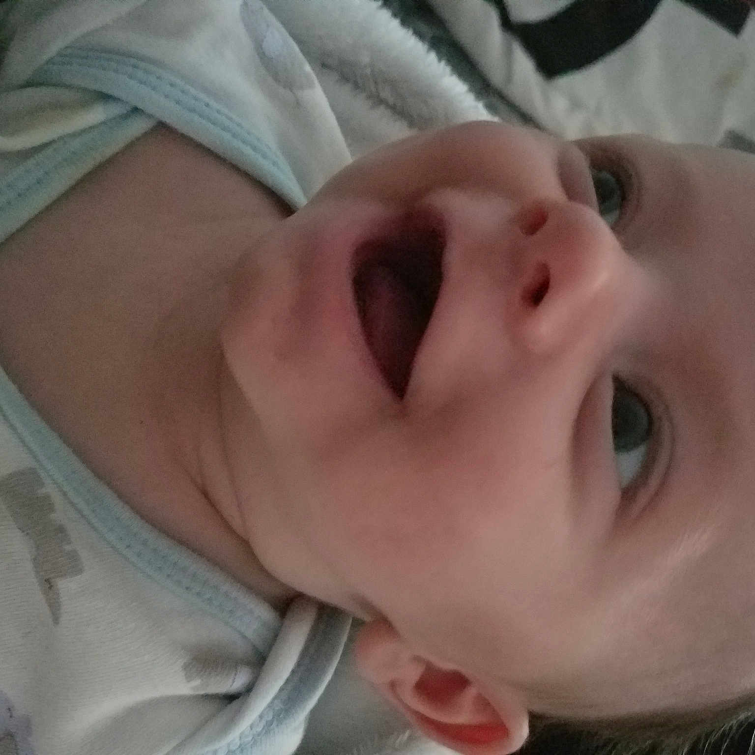 Logan