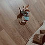 animal, blue_shirt, clothing, companion, cute, dog, domestic, flooring, furniture, household, indoor, looking_up, pet, pet_clothes, puppy, resting, shadow, small_dog, toy, wooden_floor