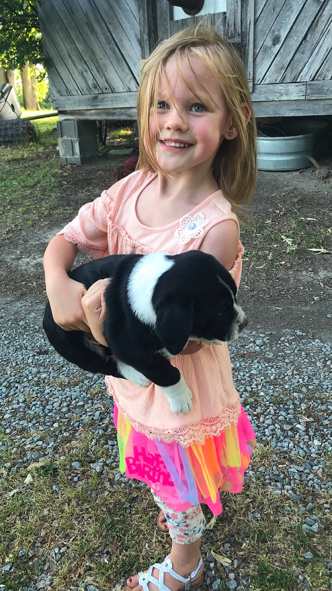 Lacy is registered to the contest to win money with this photo: canidae, carnivore, child, dog, dog_breed, fawn, joy, person, pink, sporting_group, toddler
