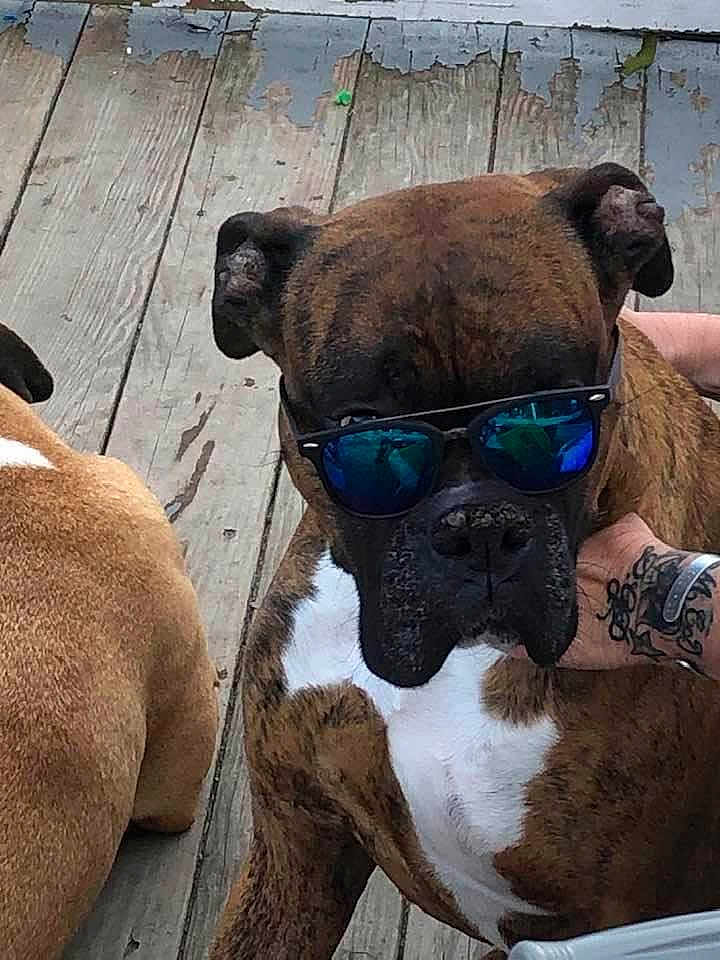 Tyson