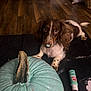 Lucy Gray joined the competition — help win amazing prizes! dog, paint, pumpkin, blue_paint, black_tarp, wooden_floor, indoor, pet, curious, brown_and_white, paint_supplies, craft, animal, closeup, studio, painted_pumpkin, nose_paint, home, decor, fall