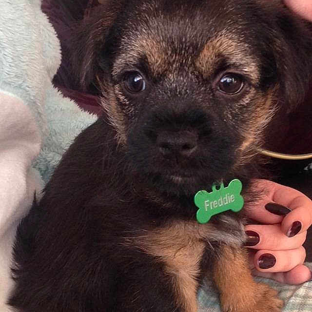 Freddie joined the competition — help win amazing prizes!