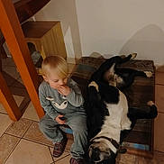 Malabar participe au concours pour gagner de l'argent avec cette photo : toddler, child, dog, black_and_white_dog, indoor, tile_floor, wooden_furniture, small_chair, cushioned_mat, relaxed, casual_clothing, sitting, lying_down, home, pet, floor, person, animal, cozy, domestic