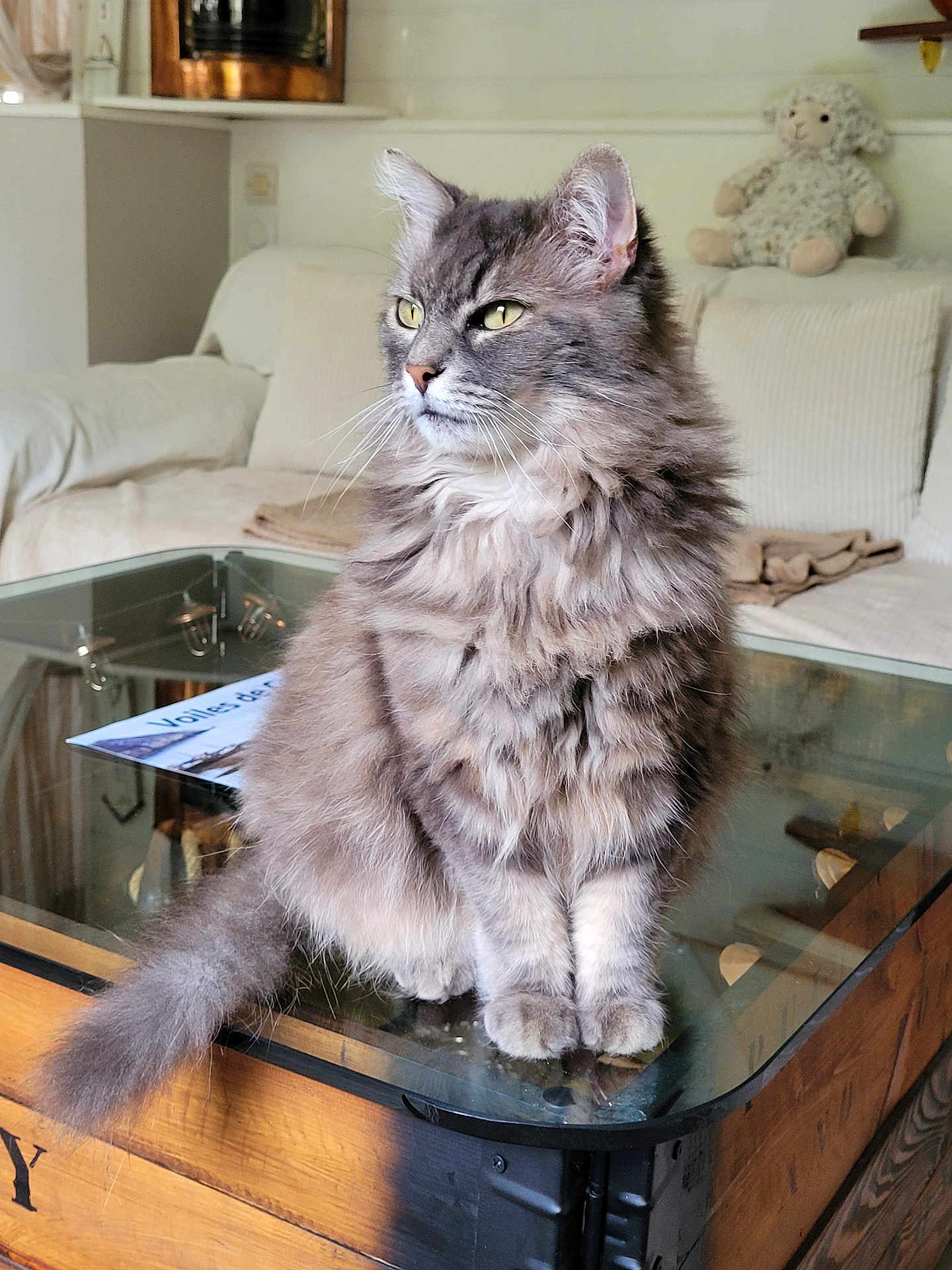 Satine