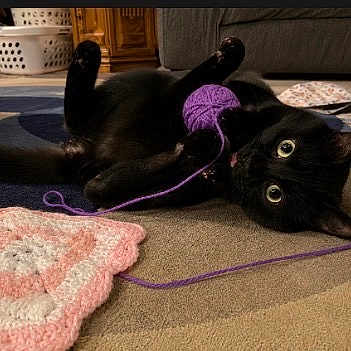 Jinx