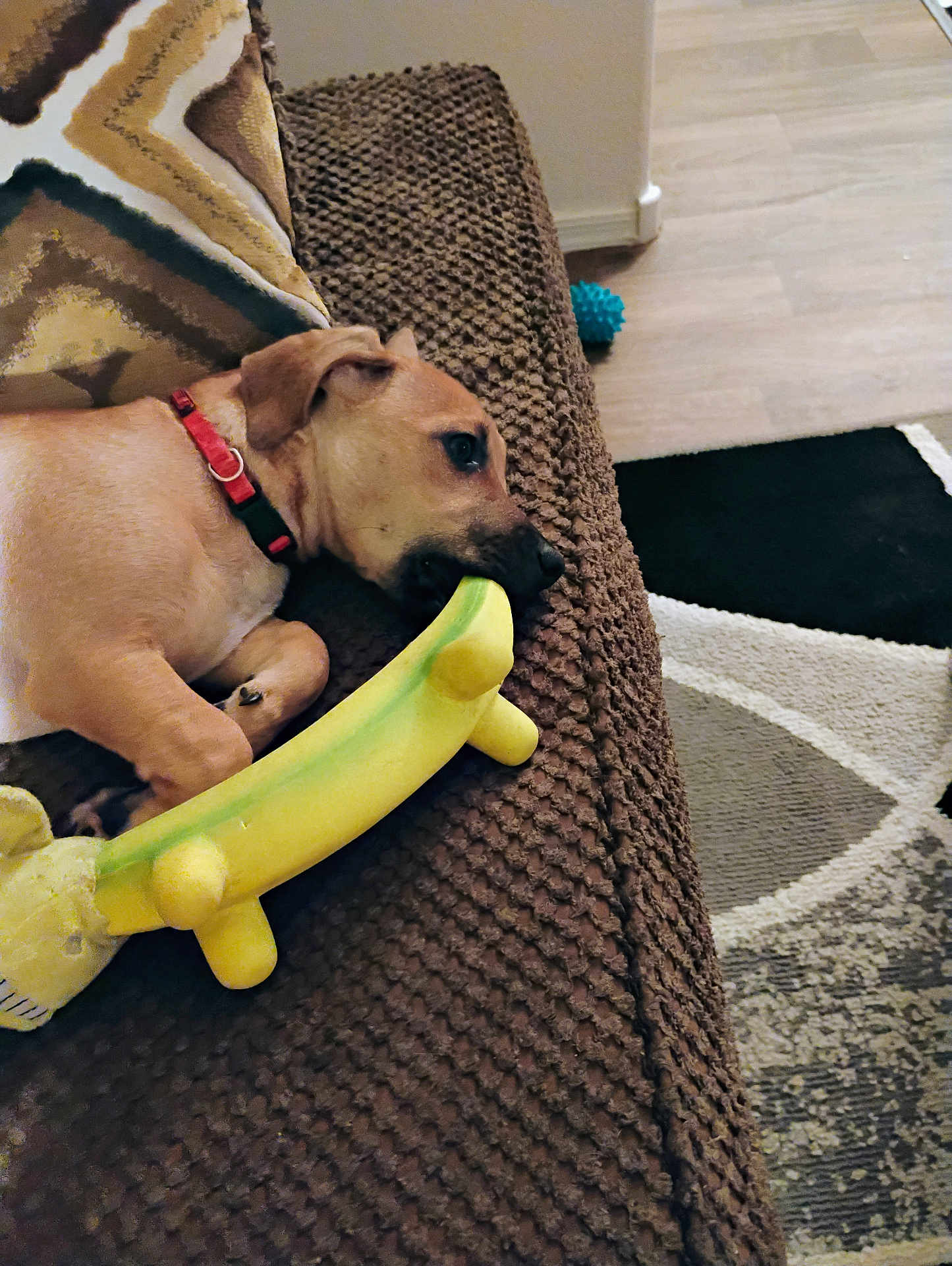 Bowie