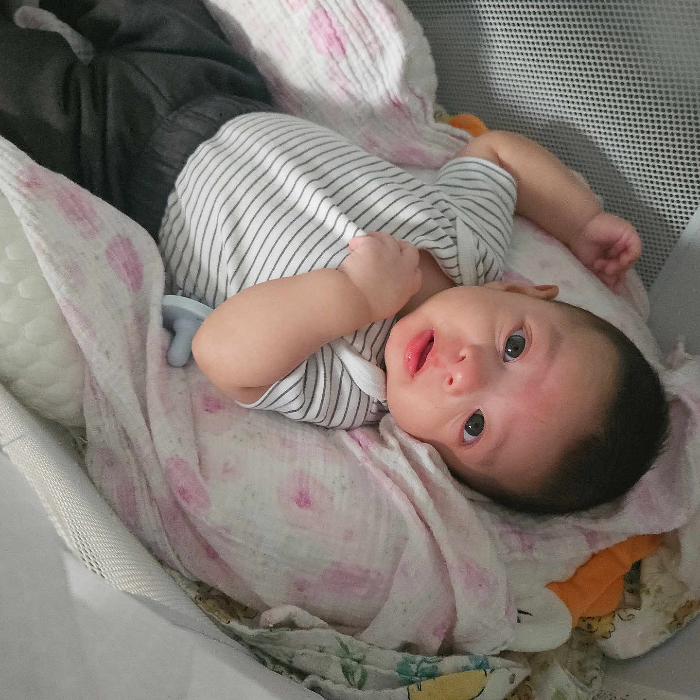 Gabe joined the competition — help win amazing prizes! baby, infant, crib, blanket, striped_shirt, dark_pants, pacifier, mesh_crib, bedding, soft, lying_down, looking_up, cute, child, indoor, cozy, comfortable, resting, small_hands, curious