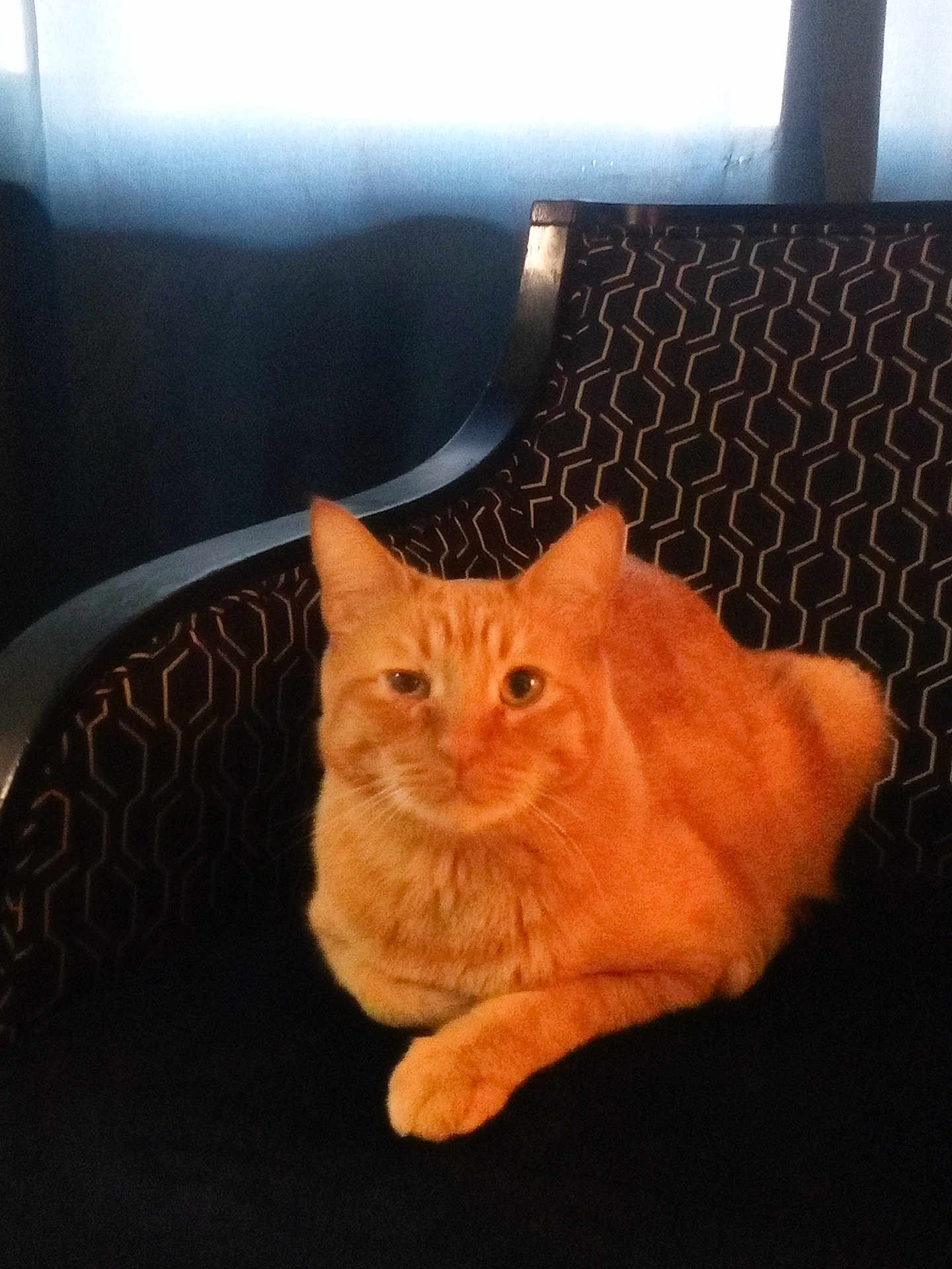 Dexter