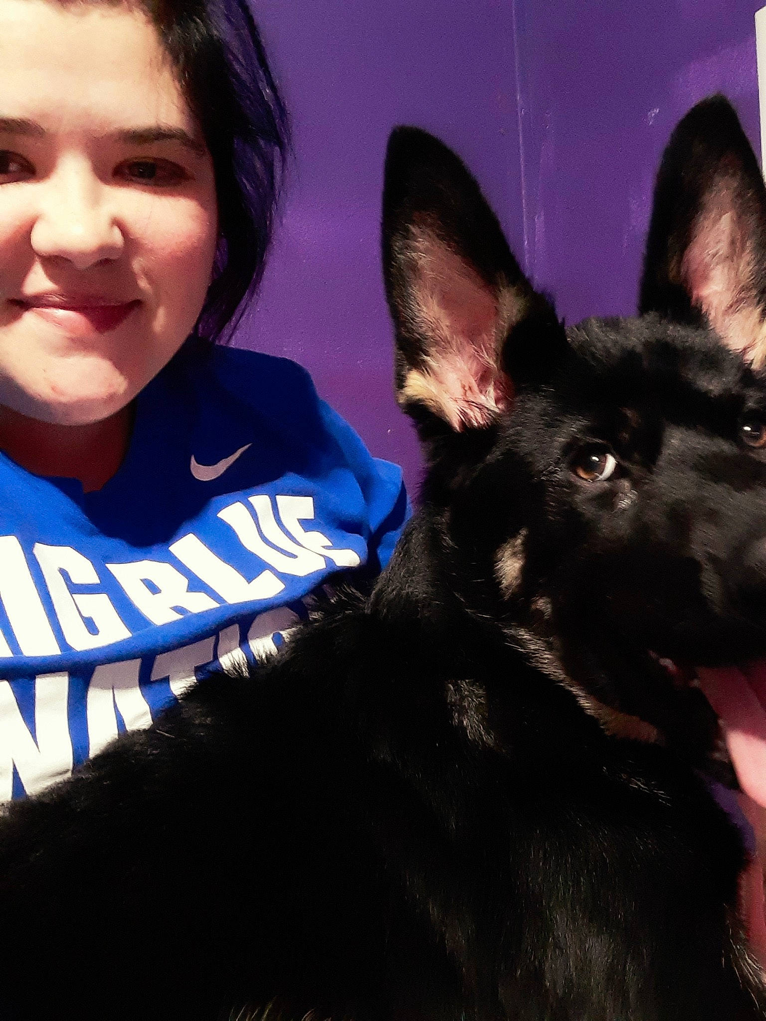 Rufus joined the competition — help win amazing prizes! black_hair, canidae, carnivore, companion_dog, dog, dog_breed, ear, electric_blue, fawn, fur, german_shepherd_dog, gesture, happy, jaw, organ, sleeve, smile, snout, sporting_group, t_shirt