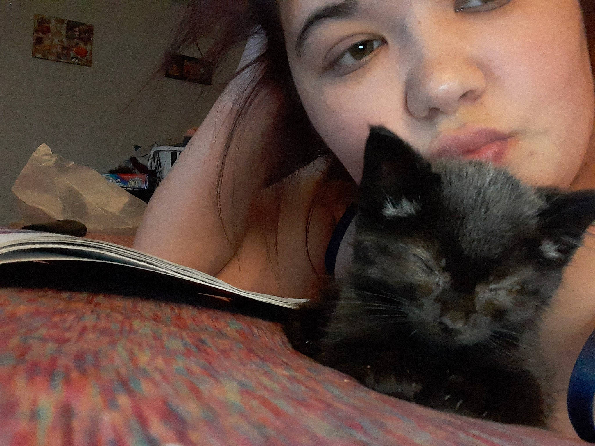 Shadow joined the competition — help win amazing prizes! asian, black_cat, black_hair, carnivore, cat, ear, eye, felidae, finger, fur, iris, kitten, lip, mouth, nose, selfie, skin, small_to_medium_sized_cats, smile, whiskers