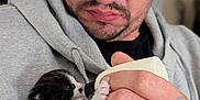 Cheech joined the competition — help win amazing prizes! man, glasses, tattoo, hand, kitten, bottle, feeding, black_and_white, hoodie, indoor, closeup, pet, animal, care, cute, young_animal, fur, face, person, holding