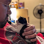 Cheech is registered to the contest to win money with this photo: man, kitten, cat, holding, close_up, indoor, glasses, red_shirt, hand, affection, cute, pet, animal, face, interaction, love, gentle, furniture, fan, background
