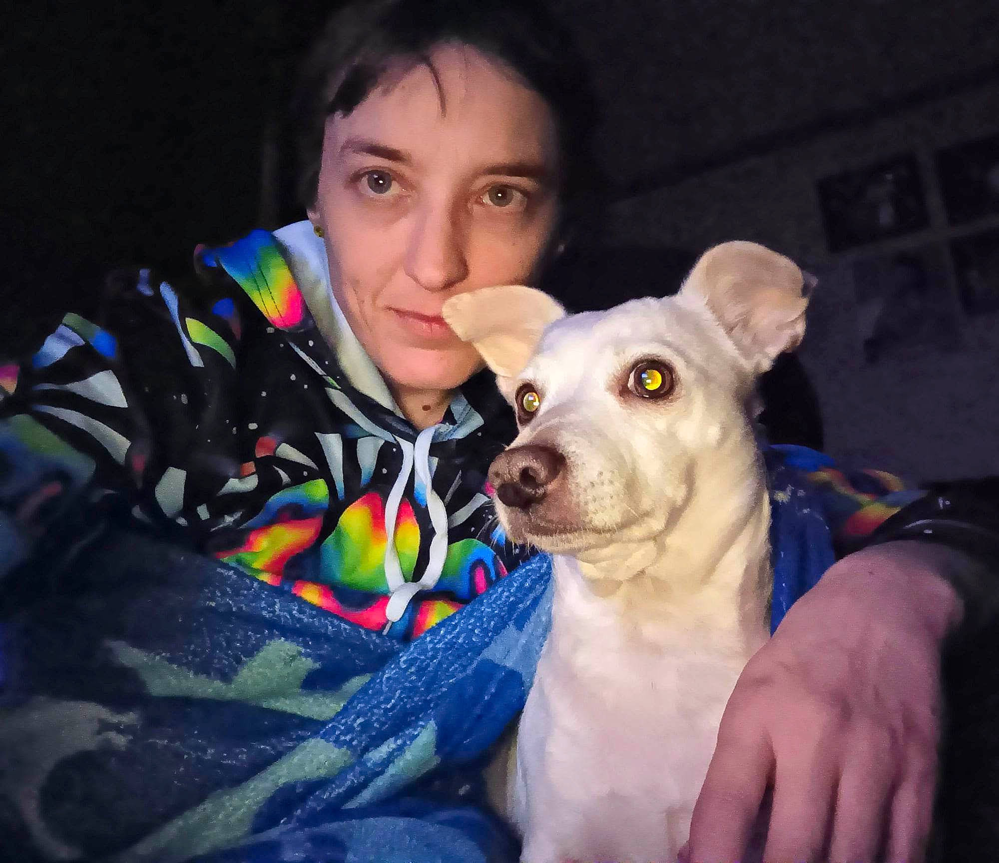 Melisandre is registered to the contest to win money with this photo: canidae, carnivore, companion_dog, corgi_chihuahua, dog, dog_breed, dog_clothes, eye, fawn, fun, fur, happy, puppy_love, selfie, sitting, snout, sporting_group, t_shirt, toy_dog, whiskers