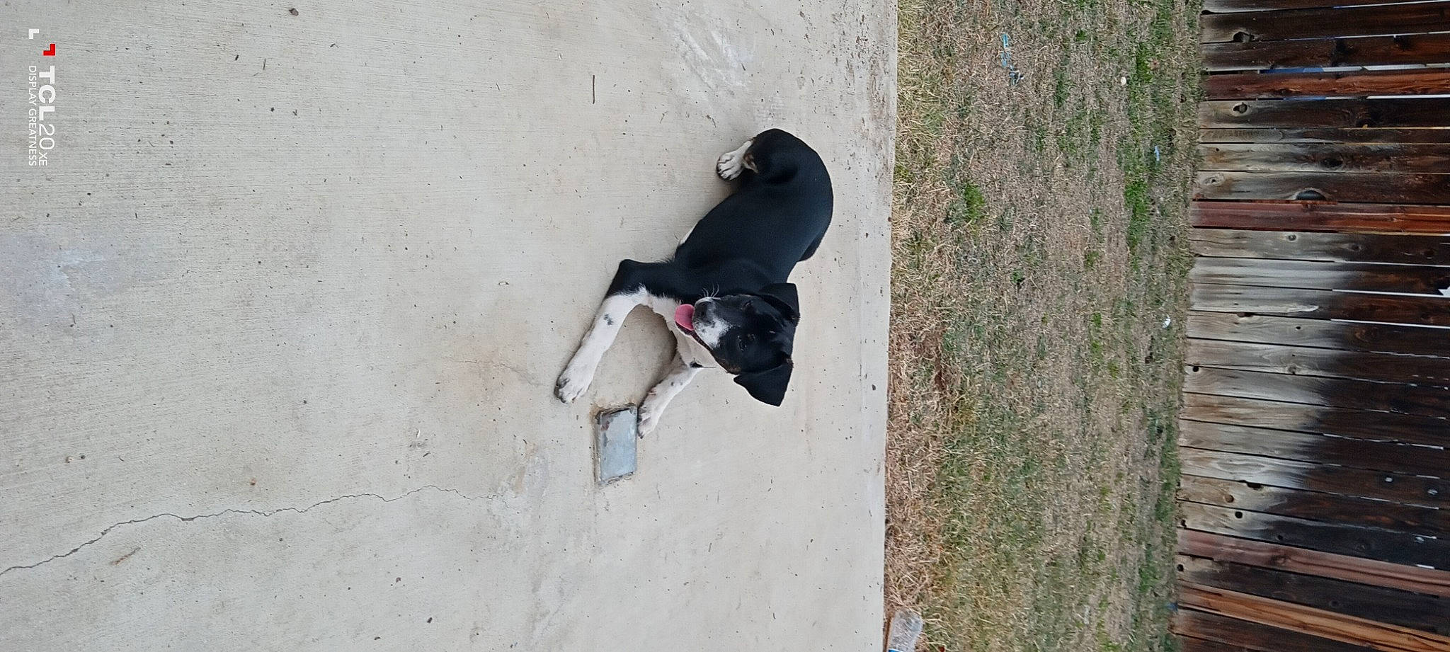 Rose joined the competition — help win amazing prizes! adventure, art, cement, concrete, extreme_sport, grey, landscape, recreation, shadow, sitting, soil, tree, trunk, water, wood