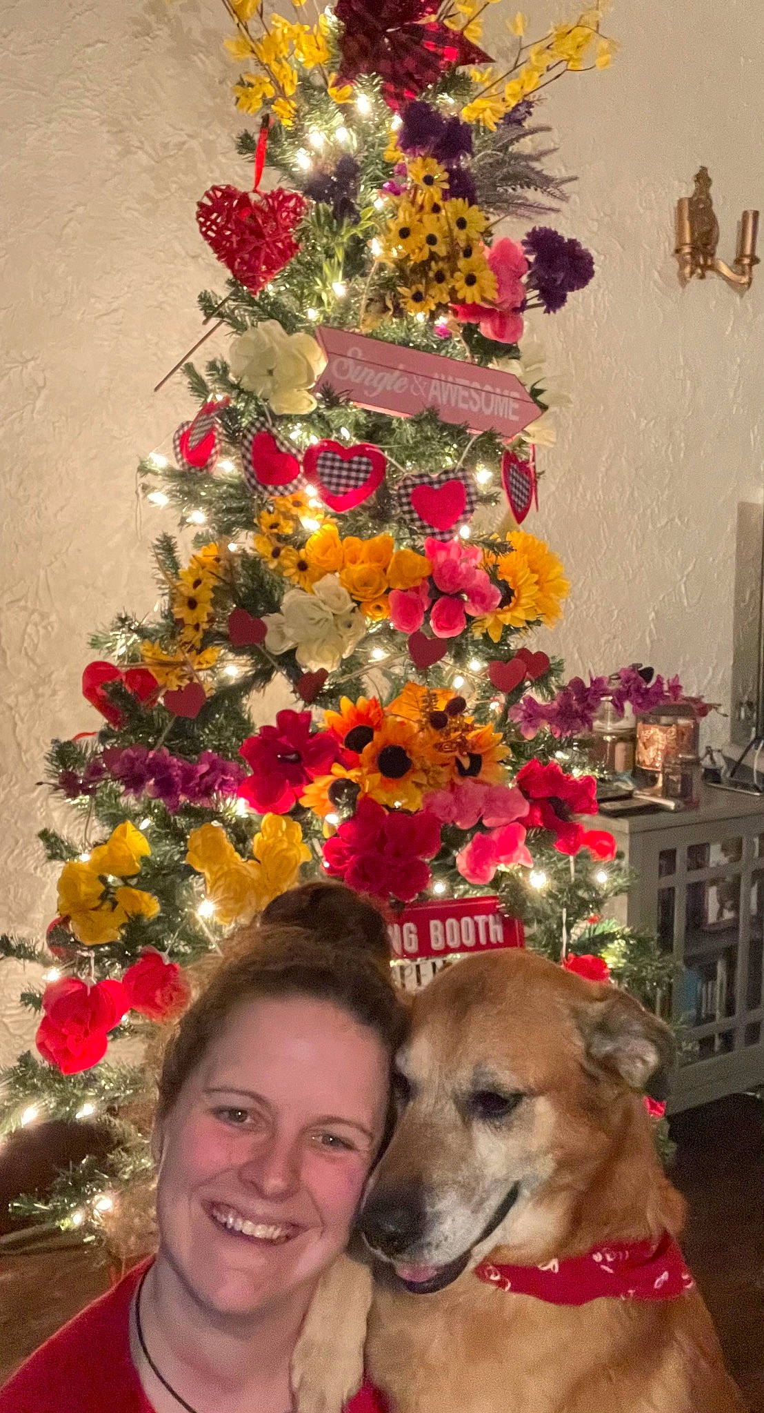 Striker is registered to the contest to win money with this photo: carnivore, christmas, christmas_decoration, christmas_ornament, christmas_tree, companion_dog, dog, dog_breed, event, evergreen, fawn, flower, flower_arranging, happy, holiday, holiday_ornament, ornament, plant, smile, tree