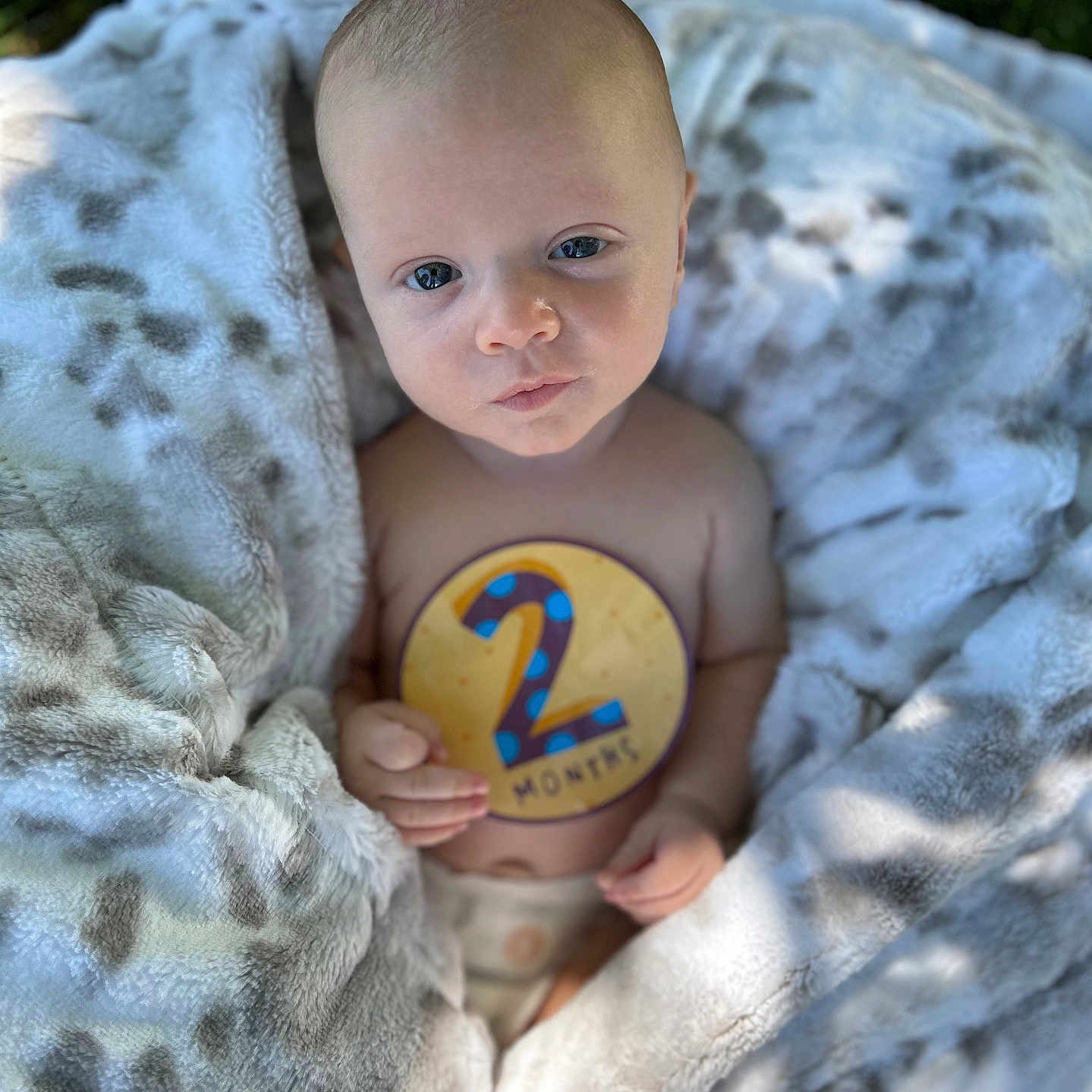 Harvey is registered to the contest to win money with this photo: baby, ball, bed, blanket, face, football, furniture, head, homedecor, newborn, person, photography, portrait, quilt, soccer, soccerball, sport, tennis, tennisball, towel