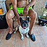animal, casual, companion, dog, french_bulldog, hand, happy, legs, man, neon_green, outdoor, patio, pet, potted_plant, shorts, sitting, slippers, smiling_dog, tiles, wall