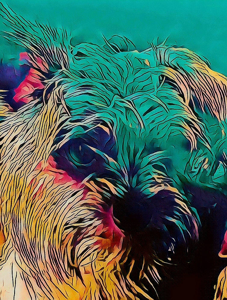 Crapule participe au concours pour gagner de l'argent avec cette photo : acrylic_paint, art, art_paint, big_cats, carnivore, circle, drawing, electric_blue, felidae, fur, graphics, illustration, paint, painting, plant, snout, terrestrial_animal, visual_arts, whiskers, wildlife