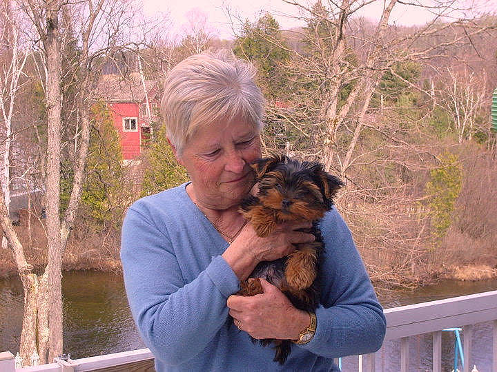 Boddy Et Papou a rejoint le concours — aidez-le/la à gagner de superbes lots ! beard, canidae, carnivore, companion_dog, dog, dog_breed, fawn, fur, happy, plant, sporting_group, tree, water, wildlife, wildlife_biologist, window, working_animal