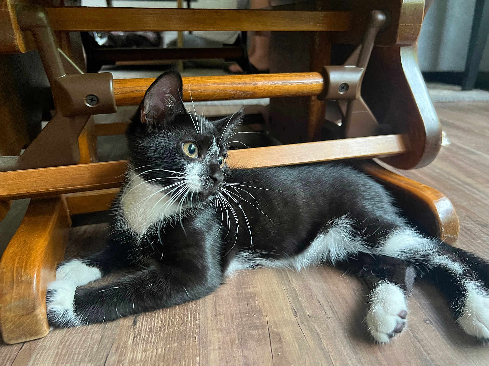 Kitkat