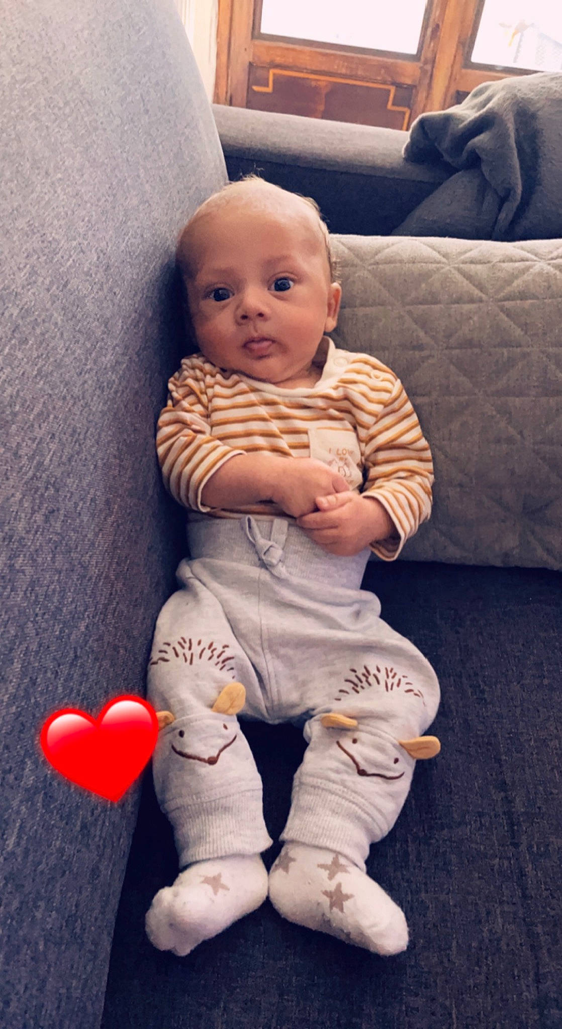 Matteo a rejoint le concours — aidez-le/la à gagner de superbes lots ! arm, baby, baby_toddler_clothing, comfort, couch, eye, facial_expression, finger, floor, hand, happy, human_body, leg, lip, mammal, person, pink, skin, sleeve, standing