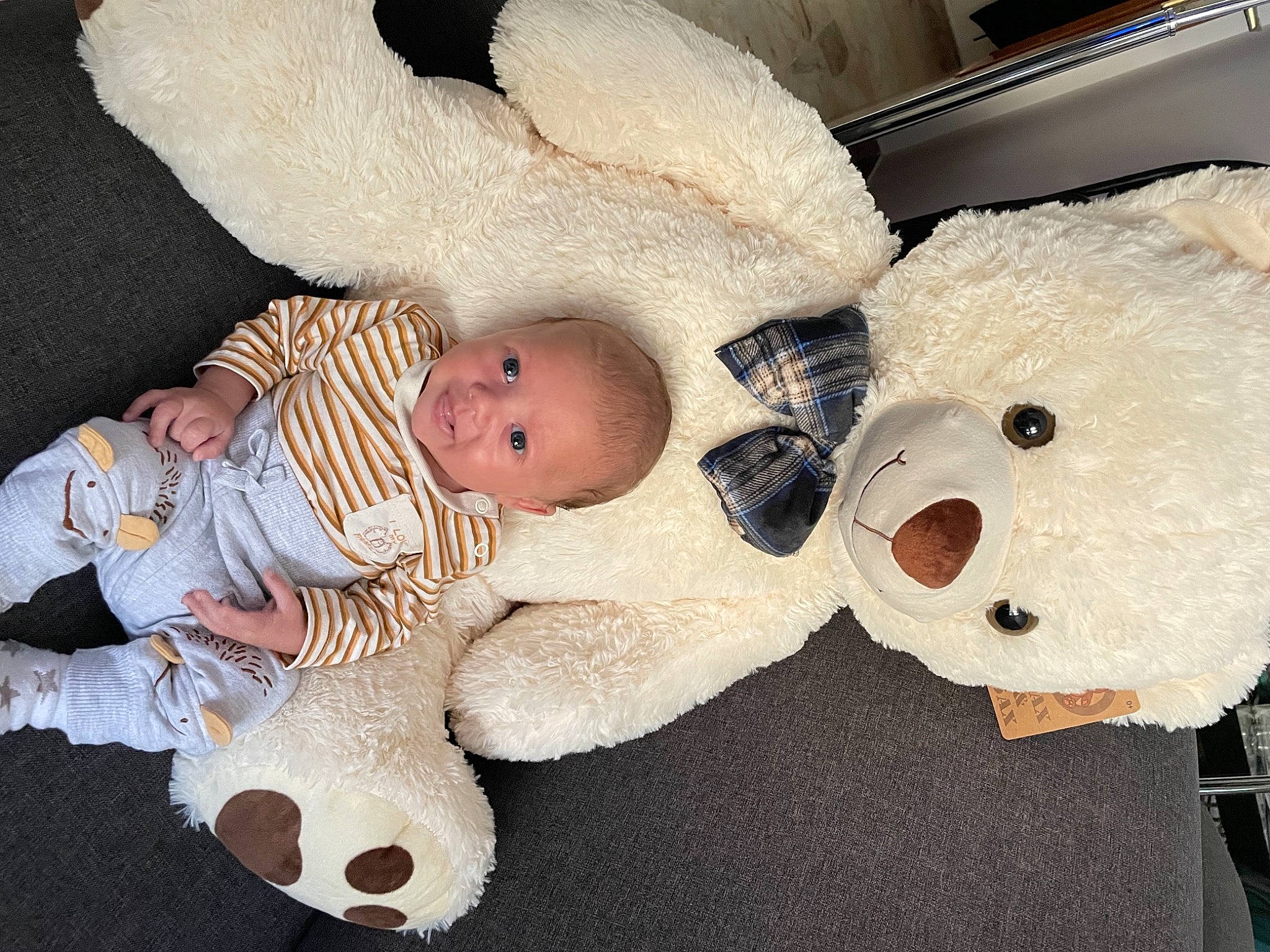 Matteo participe au concours pour gagner de l'argent avec cette photo : baby, baby_products, baby_sleeping, baby_toddler_clothing, baby_toys, beanie, cheek, child, comfort, eye, fur, human_body, nose, person, plush, room, stuffed_toy, textile, toddler, toy