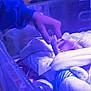 Zyalani is registered to the contest to win money with this photo: newborn, baby, hospital, incubator, medical, blue_light, hand, blanket, premature, care, tiny_fingers, patient, healthcare, monitoring, bed, person, wrapped, delicate, hospital_room, touch