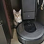 cat, tabby, robot_vacuum, furniture, floor, indoor, curious, pet, technology, charging_station, wooden_shelf, home, animal, flooring, appliance, domestic, looking, ears, whiskers, small_space