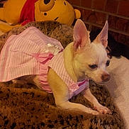 Lexi is registered to the contest to win money with this photo: