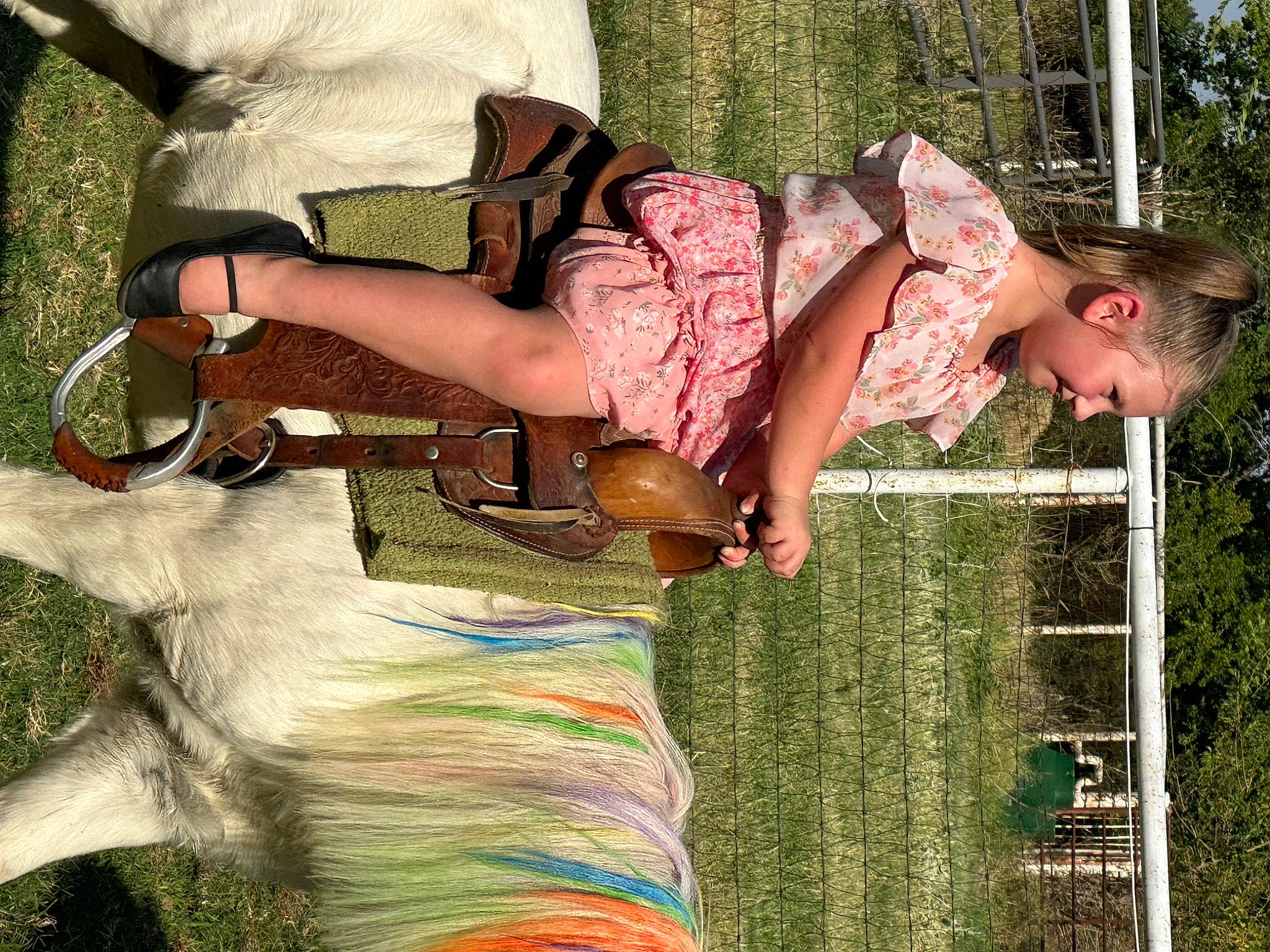 Nova joined the competition — help win amazing prizes! cool, fawn, fun, fur, grass, green, happy, hat, human_leg, joy, leisure, people_in_nature, person, pink, plant, recreation, shorts, tail, thigh, tree