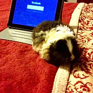 Melana is registered to the contest to win money with this photo: