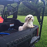 Gracy Pruitt joined the competition — help win amazing prizes!