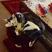 Kali Pruiti is registered to the contest to win money with this photo: