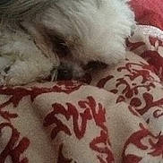 Sophie Pruitt joined the competition — help win amazing prizes!