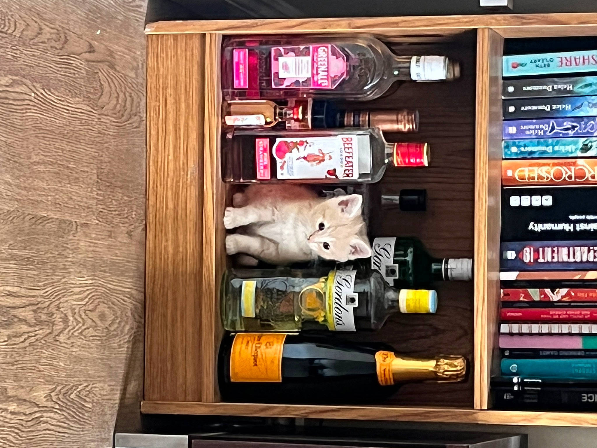 Cleo joined the competition — help win amazing prizes! advertising, bookcase, collection, display_case, font, hardwood, machine, musical_instrument, publication, retail, room, shelf, shelving, varnish, wood, wood_stain