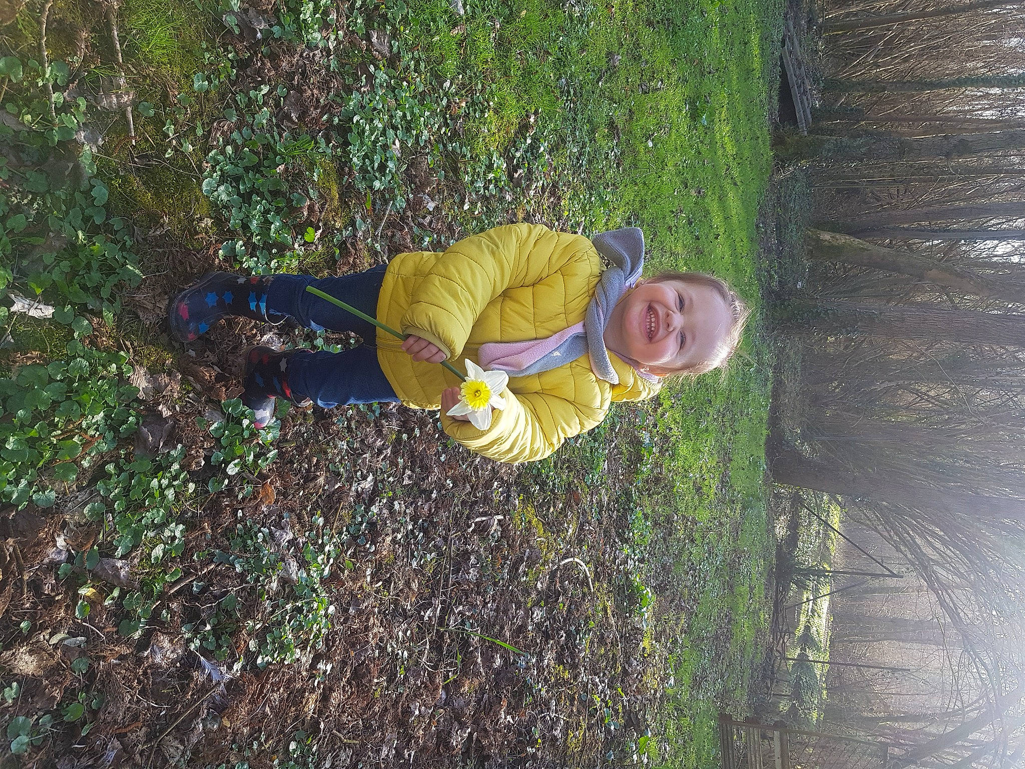 Jeanne a rejoint le concours — aidez-le/la à gagner de superbes lots ! branch, child, forest, fun, grass, happy, joy, landscape, leisure, natural_environment, people_in_nature, person, plant, recreation, shrub, smile, soil, toddler, tree, wilderness