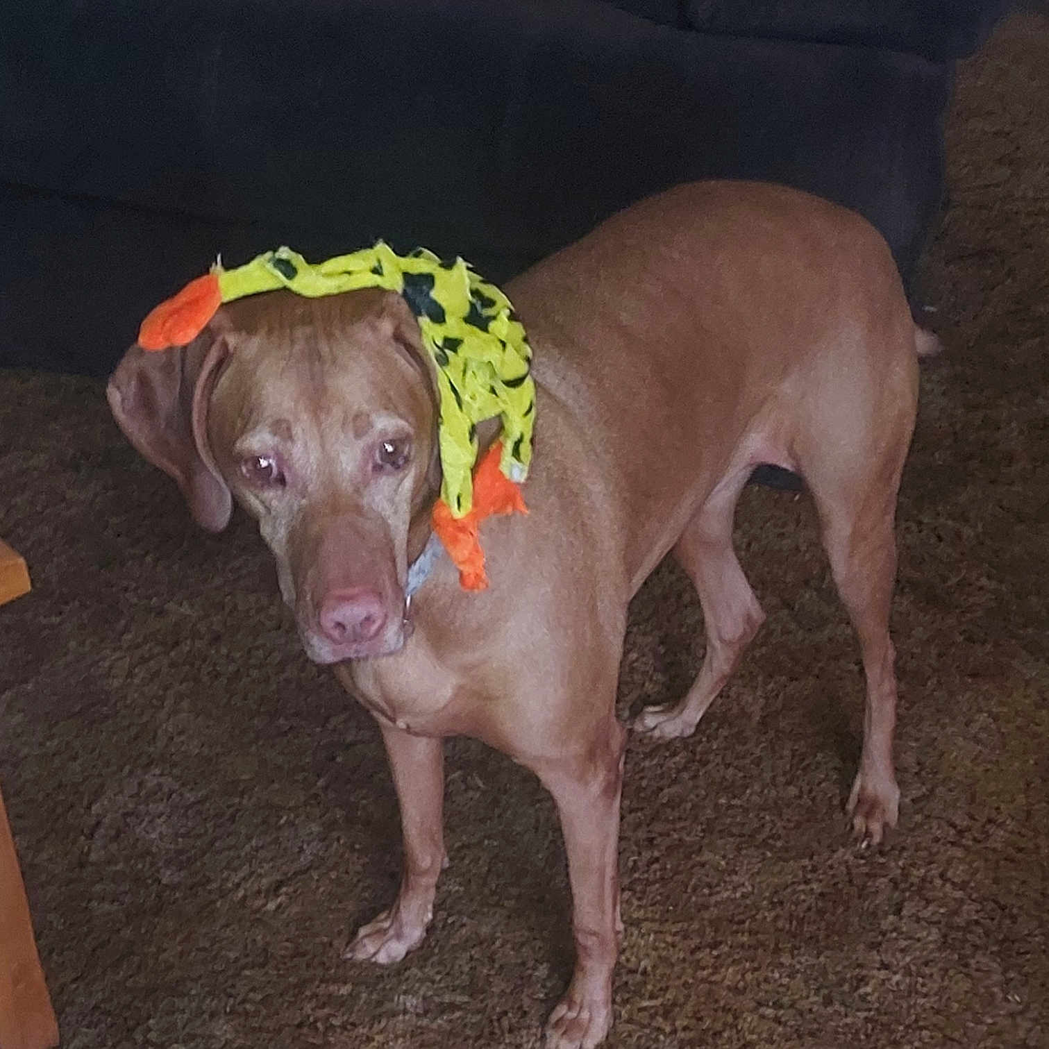 Millie