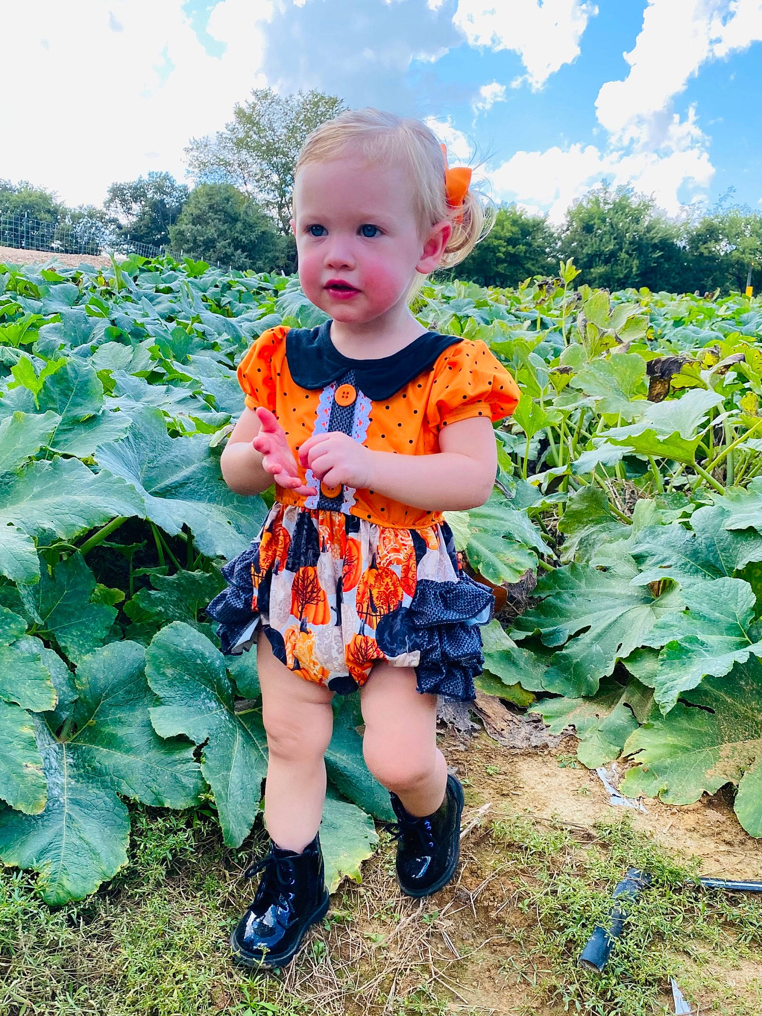 Maisyn is registered to the contest to win money with this photo: agriculture, baby_toddler_clothing, child, cloud, electric_blue, flowering_plant, grass, grassland, green, groundcover, happy, leaf_vegetable, meadow, nature, people_in_nature, person, plant, sky, summer, toddler