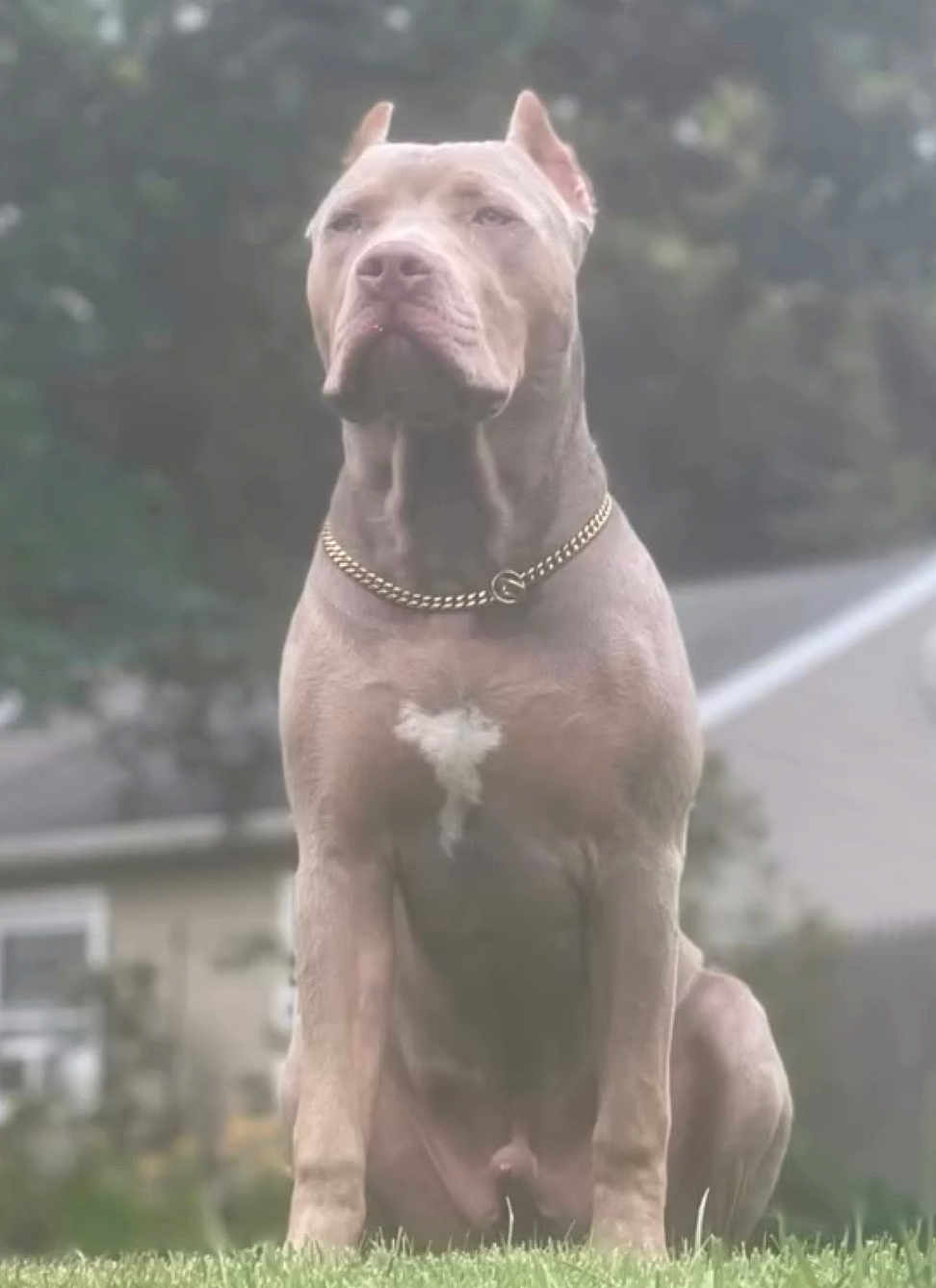 Krato