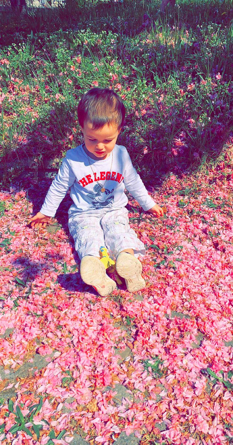Enzo participe au concours pour gagner de l'argent avec cette photo : child, flower, leaf, person, pink, plant, play, spring, toddler, tree, wildflower
