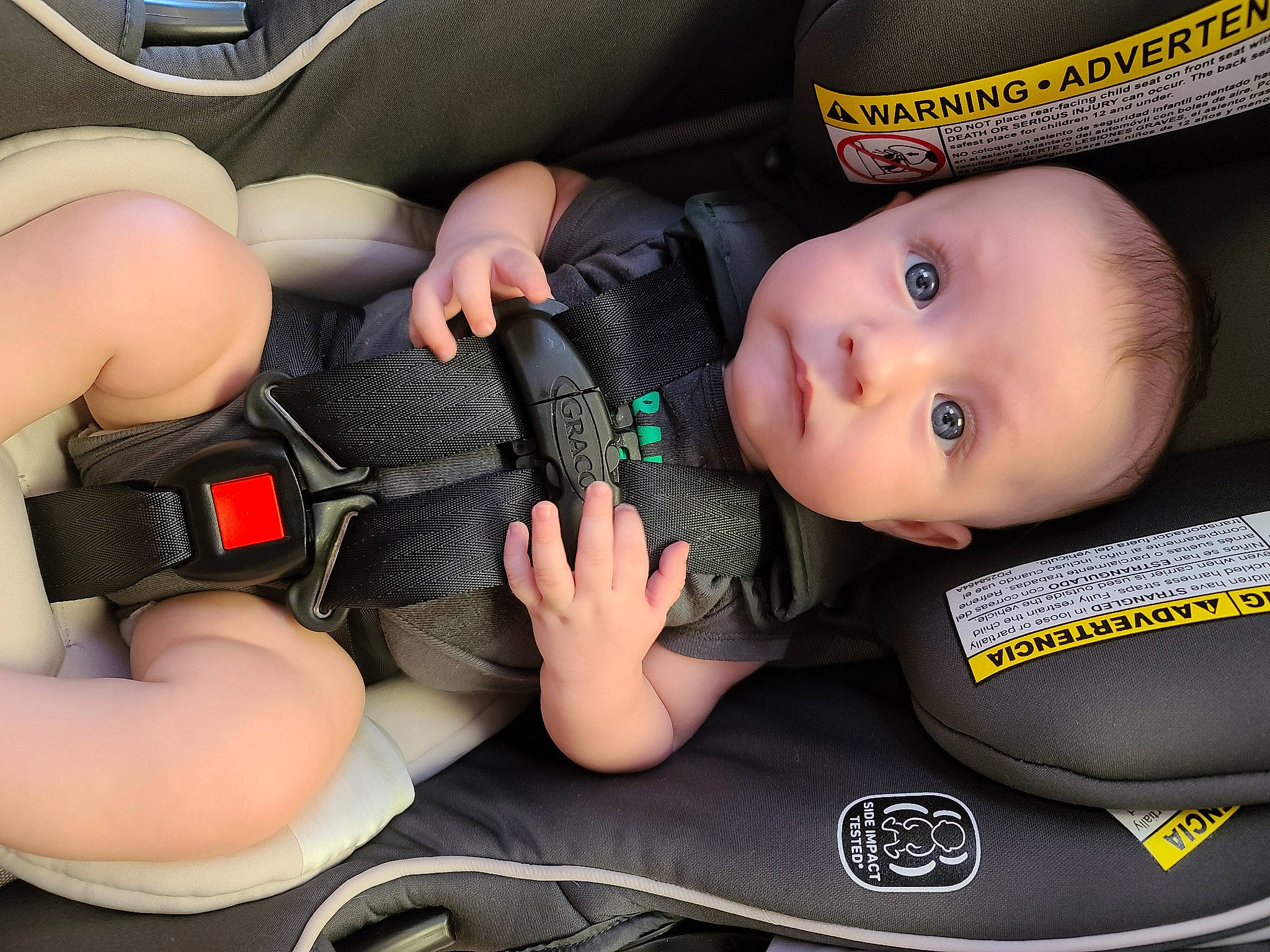 Matthew is registered to the contest to win money with this photo: auto_part, baby, baby_carriage, baby_in_car_seat, baby_products, car_seat, car_seat_cover, child, person, product, seat_belt, toddler