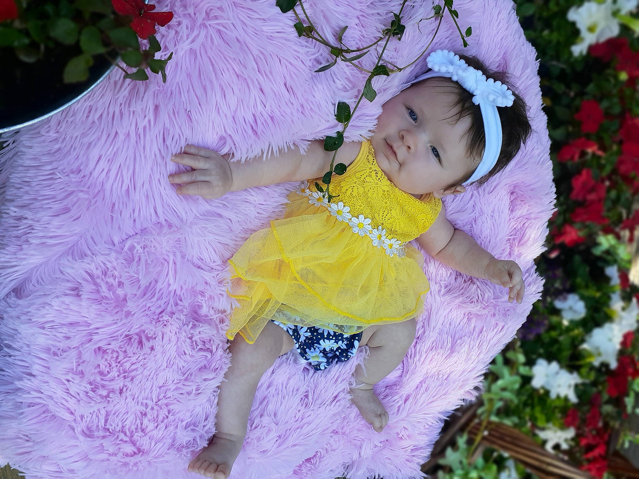 Molly is registered to the contest to win money with this photo: baby, baby_toddler_clothing, child, costume, flower, hair_accessory, happy, lavender, lilac, person, pink, plant, purple, smile, spring, textile, toddler, violet, yellow